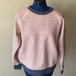 Alternative  Earth Striped Crew Neck Sweatshirt Photo 0