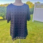 Blooming Jelly  Women’s Black PomPom Style Blouse Photo 2