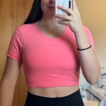 NVGTN Crop Top Photo 0
