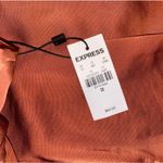 EXPRESS Satin Shorts  Photo 2