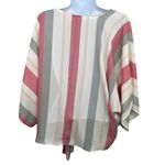 Hyped Unicorn  Cropped Doleman sleeve stripped multicolored semi sheer top SMALL Photo 2