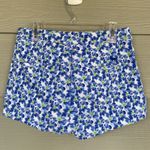 Abercrombie & Fitch Blue Pansy Flower Allover Floral Shorts Teen Womens 00 24 Photo 4