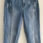 Ivy and Main Skinny Jeans Photo 2