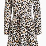 J.Crew Fit And Flat Button Down Dress Photo 0