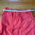 Anthropologie Daughters of the Liberation Skirt Size 2 Photo 4