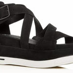 Eileen Fisher NWT  Boost Platform Wedge Sandals Sz. 9.5 Photo 0