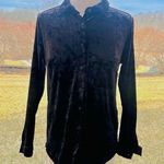 BELLE by KIM GRAVEL Womens Black Velvet Big Pocketed Long Sleeve Button Shirt Size XXS Photo 1