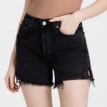 AGOLDE  Parker Jean Cut Off Shorts Trance Black Denim Distressed High Rise 33 Photo 0