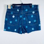 Madewell Perfect Vintage Jean Shorts Polka Dot 32 Photo 4