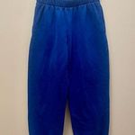 Brandy Melville Blue Sweatpants - one size Photo 0