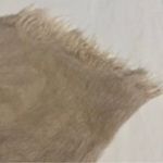 Saks 5th Avenue Saks Fifth Avenue Scarf Ultra Soft Beige Fringe Photo 7