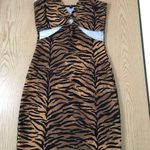 Divided New H&M Animal Print Cut Out Dress Size 0 Photo 0