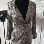 VICI  Metallic Blazer size small Photo 1