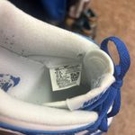 Nike Kentucky Dunks Photo 2