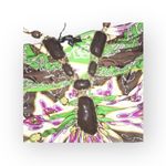 aso TV’s 90210 ✦ Sky ✦ Jeweled Neck Bold Print Silk Halter Top ✦ Braided Straps Size XS Photo 3