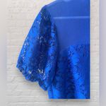 Lily White  Royal Blue Lace blouse Size Medium EUC Photo 4