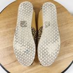 Toms National Geographic Alpargata Leopard Print Slip On Shoes Tan 8.5 Photo 10