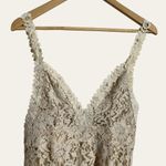 Masala Beige Floral Lace Plunge V Photo 1
