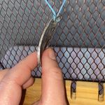 Elegant New Zealand Paua abalone natural shell necklace Blue Photo 3