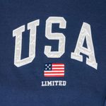 The Limited Vintage 90s  USA American Flag Sweatshirt Photo 3