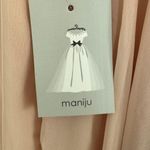 Maniju Blush Mini Prom Dress Photo 2