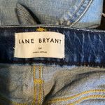 Lane Bryant  Blue Jean Shorts Photo 2