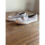 Steve Madden  Women's Size 9.5 Shoes Gray White Suede Slip On Comfort Sneakers Photo 2
