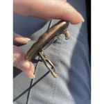 Belt Buckle American Indian Buffalo Bison Fur Cap Dress 1970s Vintage Brown Photo 2