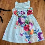 Carmen Marc Valvo Dress NWOT Floral Print Pleated Overlay Shift Sheath Work Mint Plus Size  A-line Photo 4