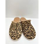 Caslon ‎ Slipper Womens Sz 6.5 Leather Cnalise Lea Flat Heel Slide Leopard Print Photo 3