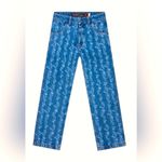 NWOT Nude project flower AOP laser jeans, loose fit, pocket detail, flower vines SM Black Size undefined Photo 2