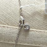 Michael Kors Elegant Silver Interlocking Circle Necklace New Photo 4