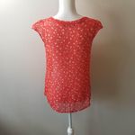 Atmosphere  / 8 / Burnt Orange Tank Top Blouse Photo 1