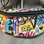 Brighton  Colorful Patterned Women's Belt Bag or Shoulder Bag Photo 4