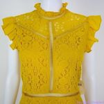 Altar'd State NEW mustard yellow lace dress with ruffle neck , M Photo 4