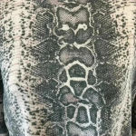 Jack by BB Dakota ⭐️ New with tags BB Dakota snake skin print soft cropped sweater in size small Photo 3