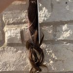 Clipin hair extensions red brown Biolage hairl Photo 5