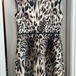 Studio One New York Leopard Print Dress Photo 1
