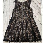 Dress Barn  Black Lace Overlay Dress  Photo 12