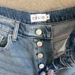 Cello  Distressed Jean shorts Photo 1