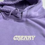 Cherry LA  Dye Company Lavender Hoodie Photo 12
