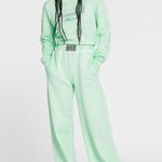 Roberto Cavalli  Animalier Patchwork-Print Appliqué Sweatpants Mint Green Sz XXL Photo 1