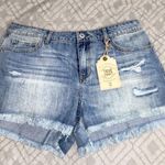 True Craft Jean Shorts Photo 0