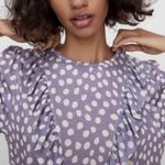 ZARA  Ruffle Front Polka Dot Dress Photo 2