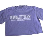 Vintage y2k Distressed Lavender Panama City Beach Florida Crop Top 🔥 Purple Photo 0