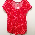 Loft Zoo Dot Scoop Neck Linen Blend Top Medium NWT Photo 4