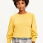 Loft Yellow Draped Sleeve Terry Crewneck Sweatshirt Size Medium Photo 0