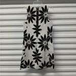 Desigual Shift Dress ASO Emmy Rossum Shameless Womens 38(US 6) Sleeveless Mini Photo 2