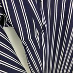 Diane Von Furstenberg Diane Von Furstenburg Blue Striped Twill Wide-leg Pants Photo 3