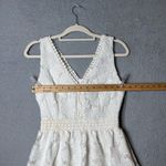 Soiéblu Soieblu Dress Womens Small Cream Deep V Neck Lace‎ Overlay Sleeveless Dress NEW Photo 6